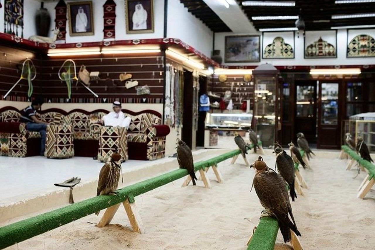 Doha : tour serale della città di 4 ore con mercato di Souq Waqif — 9