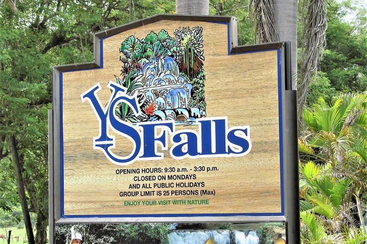 YS Falls più tour guidato di Black River Safari con pranzo e ingresso da Falmouth — 8