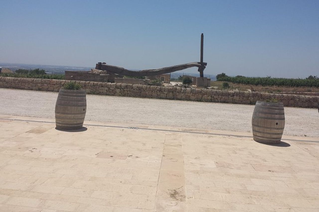 Trasferimento da e per l'aeroporto di Catania Taormina Giardini Naxos Letojanni Mazzarò. — 7