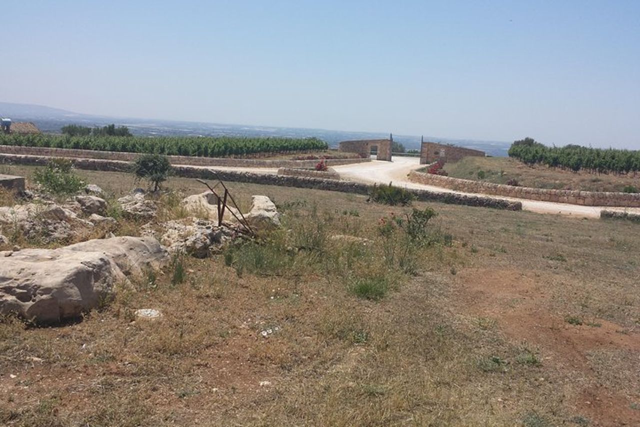 Trasferimento da e per l'aeroporto di Catania Taormina Giardini Naxos Letojanni Mazzarò. — 8