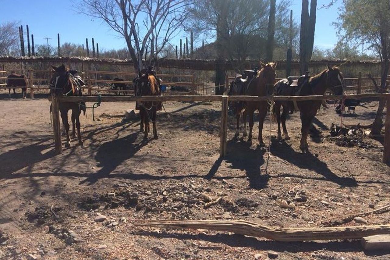 Passeggiata a cavallo e testimone del magico tramonto di Loreto, BCS — 2