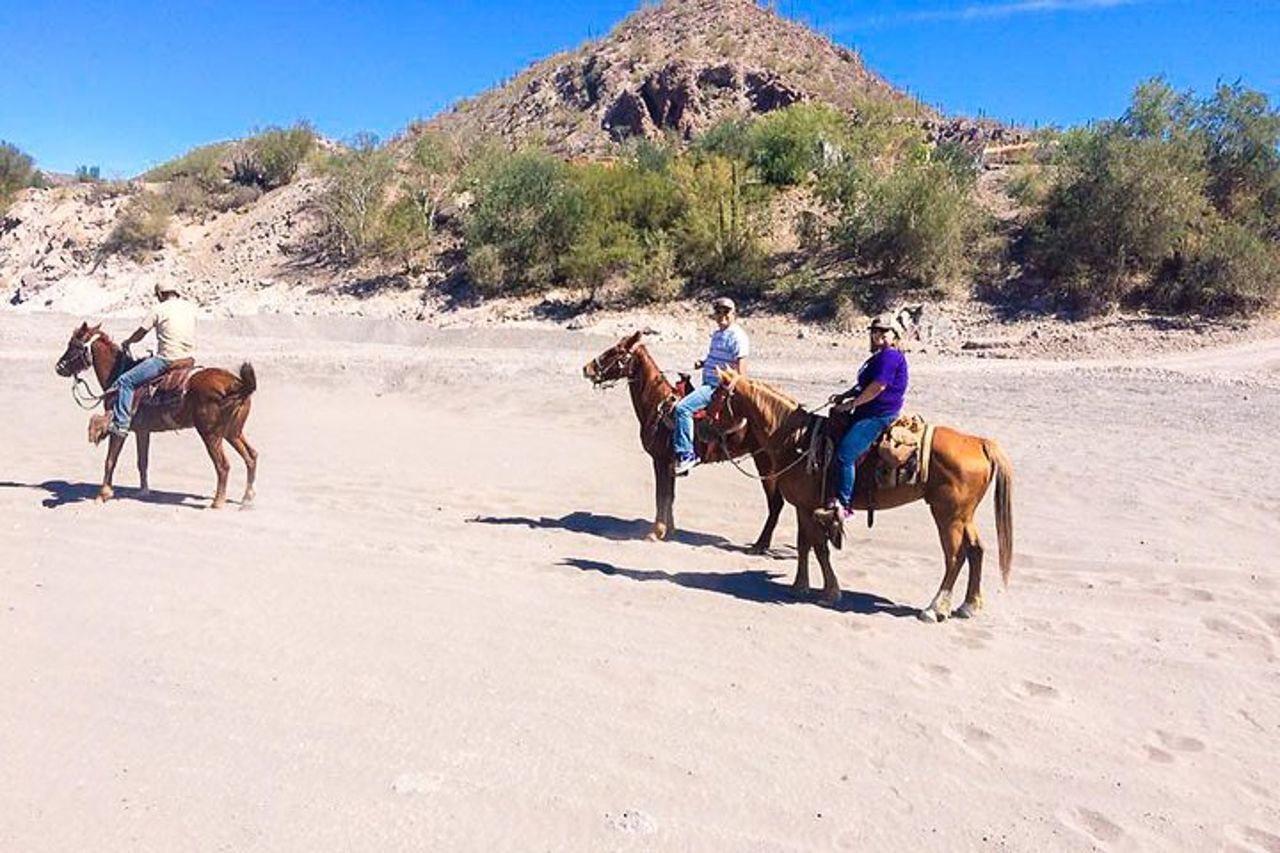 Passeggiata a cavallo e testimone del magico tramonto di Loreto, BCS — 5