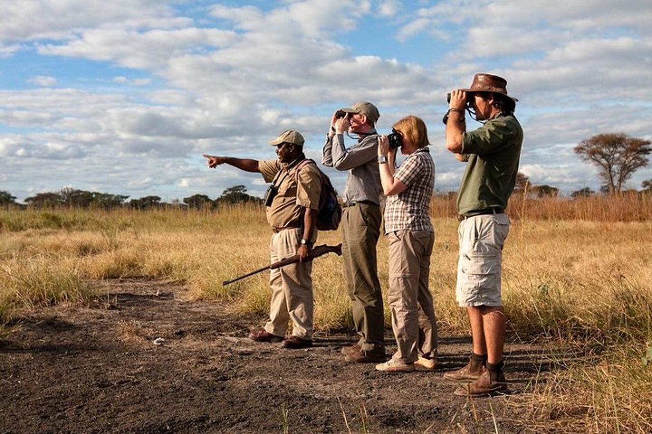 Safari a piedi e game drive Mikumi National Park da Morogoro