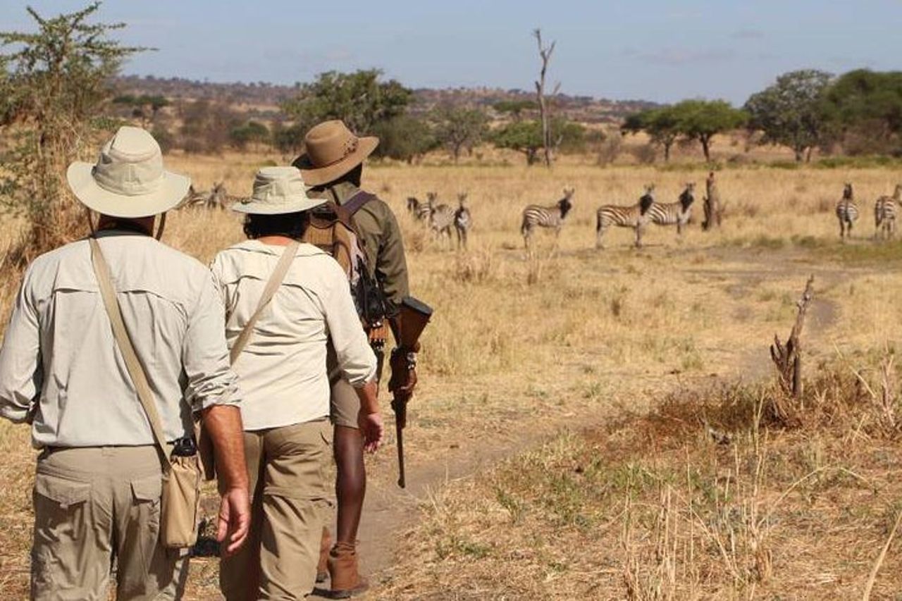 Safari a piedi e game drive Mikumi National Park da Morogoro — 4