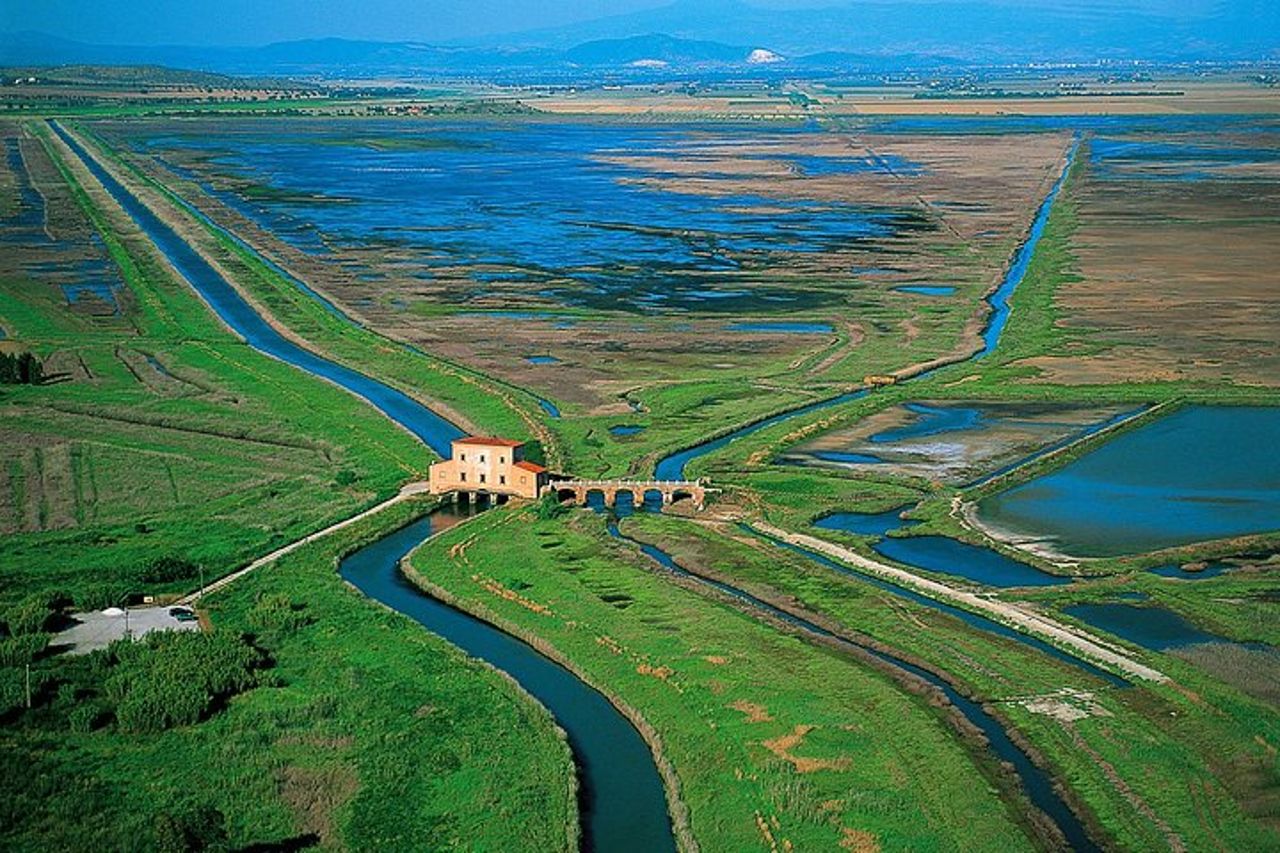 Escursione a Piedi in Diaccia Botrona