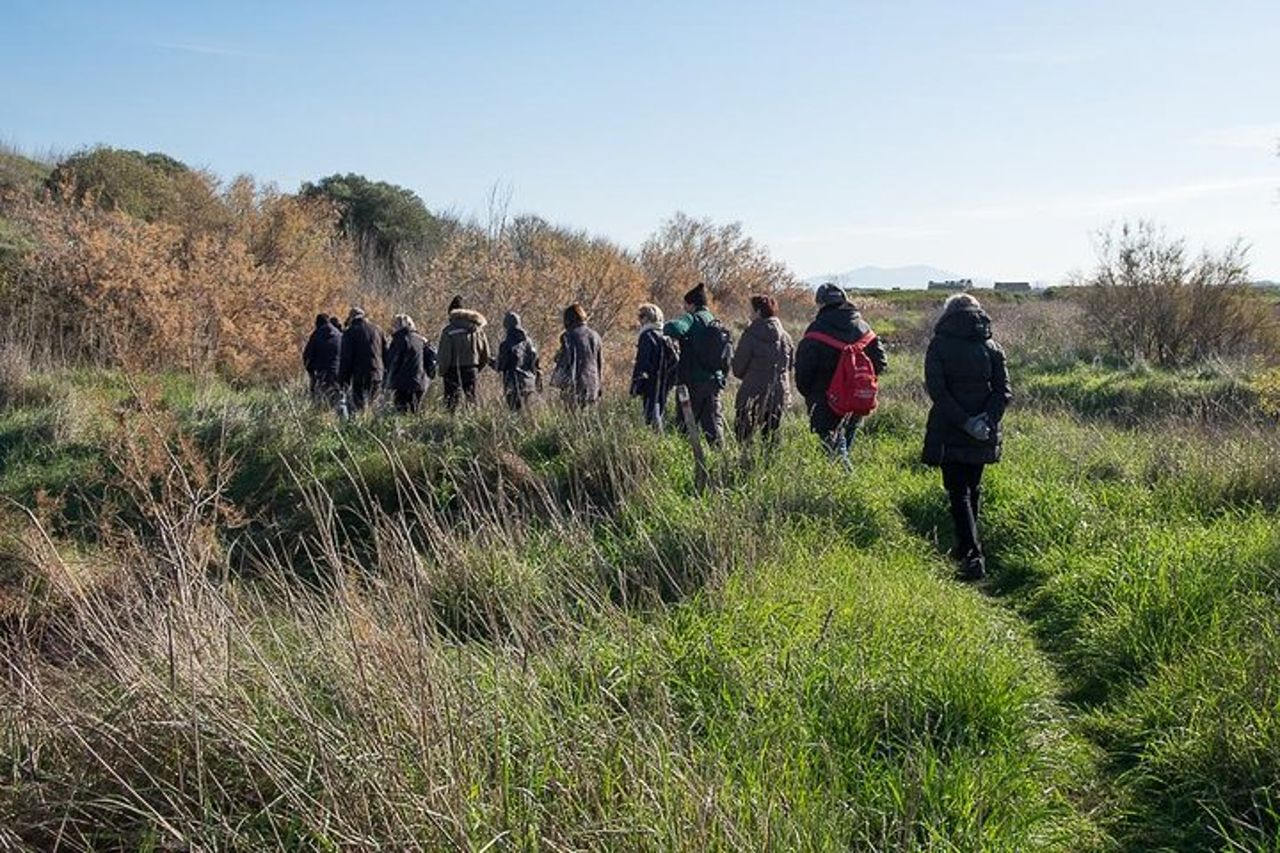 Escursione a Piedi in Diaccia Botrona — 2