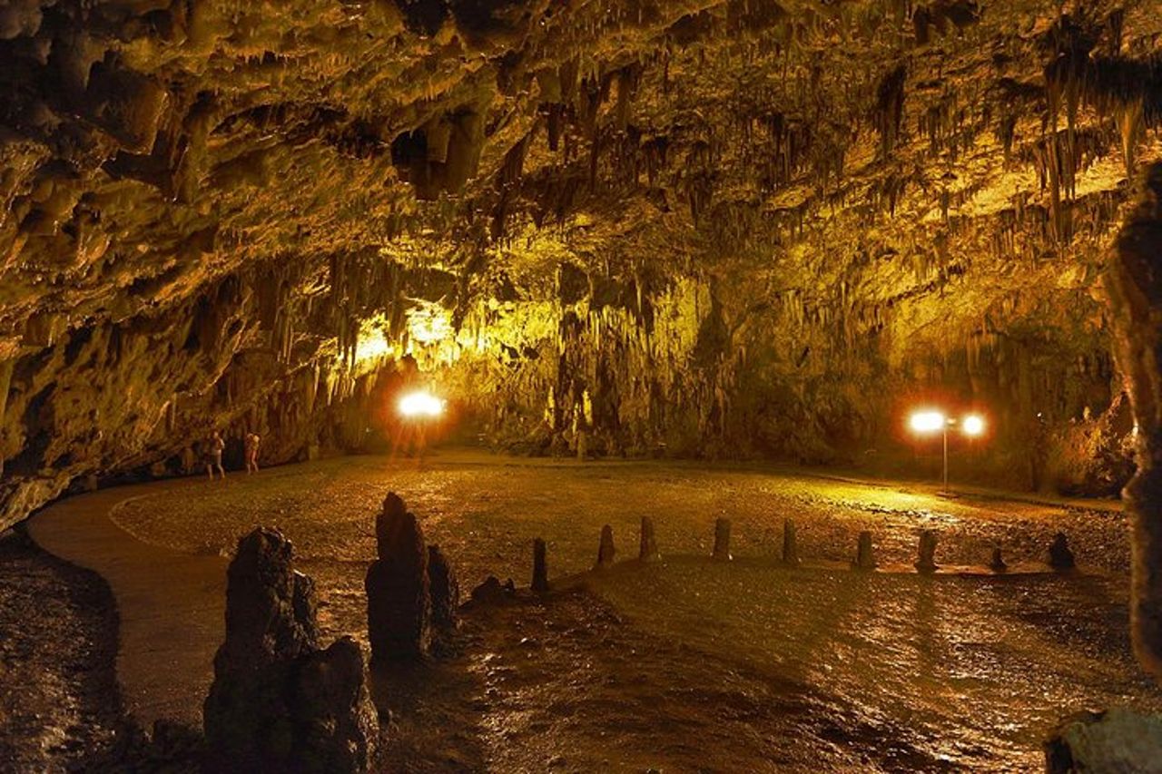Tour in autobus dell'isola di Cefalonia: degustazione di vini, Melissani e Fiscardo — 6