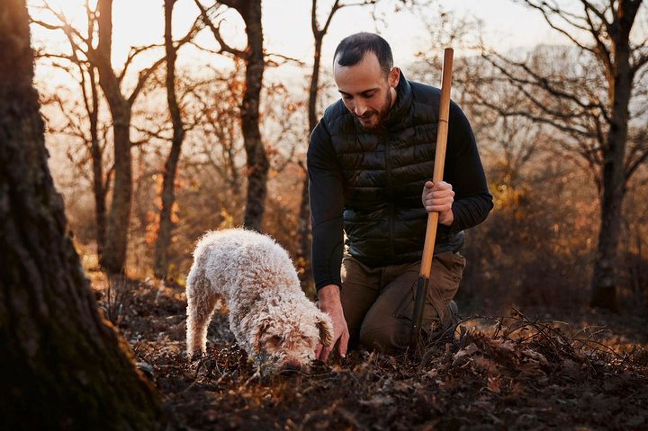 Caccia al tartufo vicino Roma con pranzo di 7 portate — 5