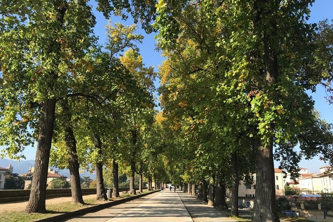 Pisa e Lucca dal Porto Crociere di Livorno — 5