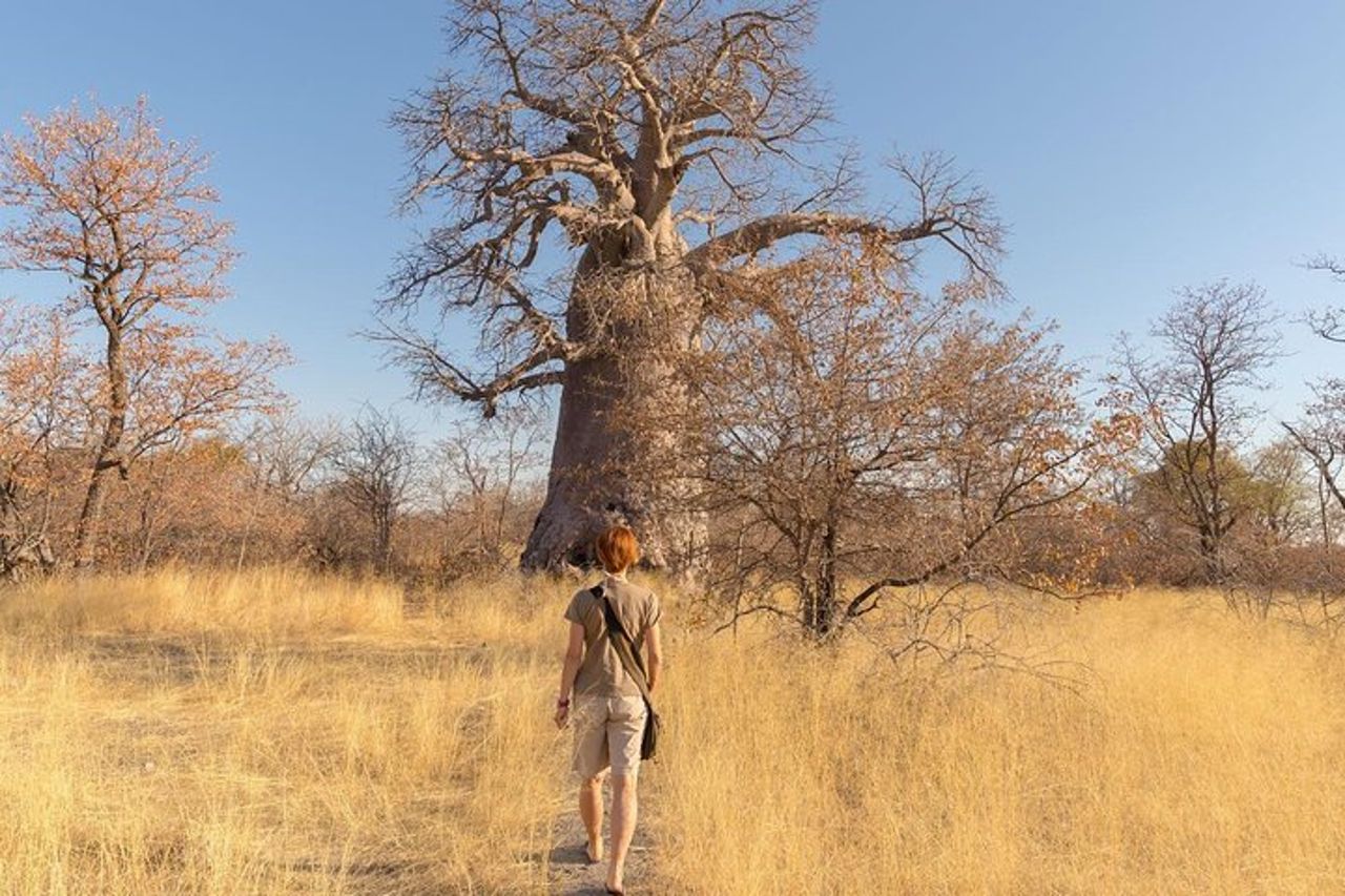 2 giorni nel parco nazionale di Ruaha. — 3