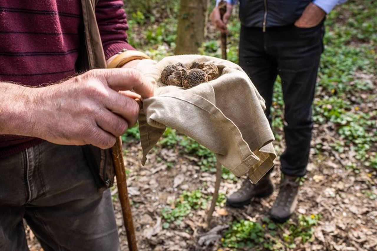 Alla ricerca del Tartufo d'Alba - La caccia più autentica — 2