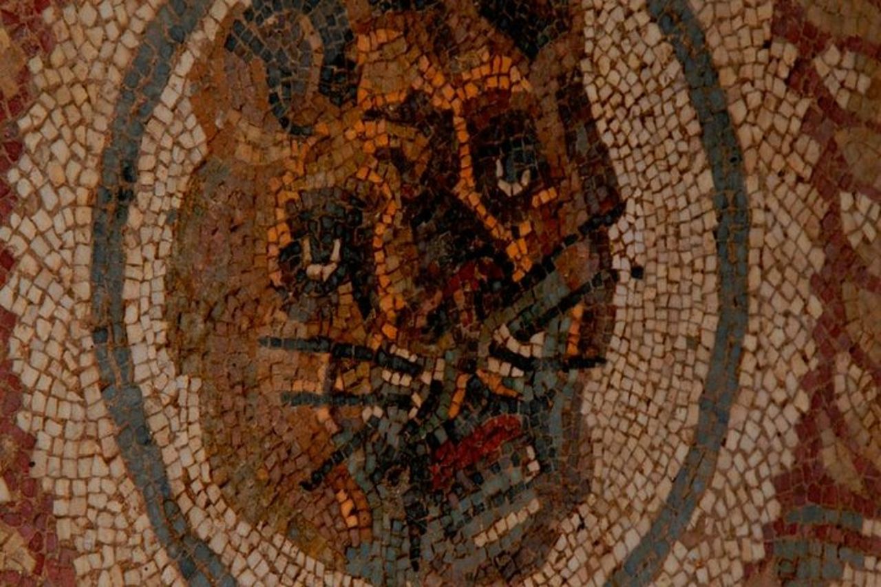 Villa Romana del Casale Mosaici Unesco Private Tour — 8