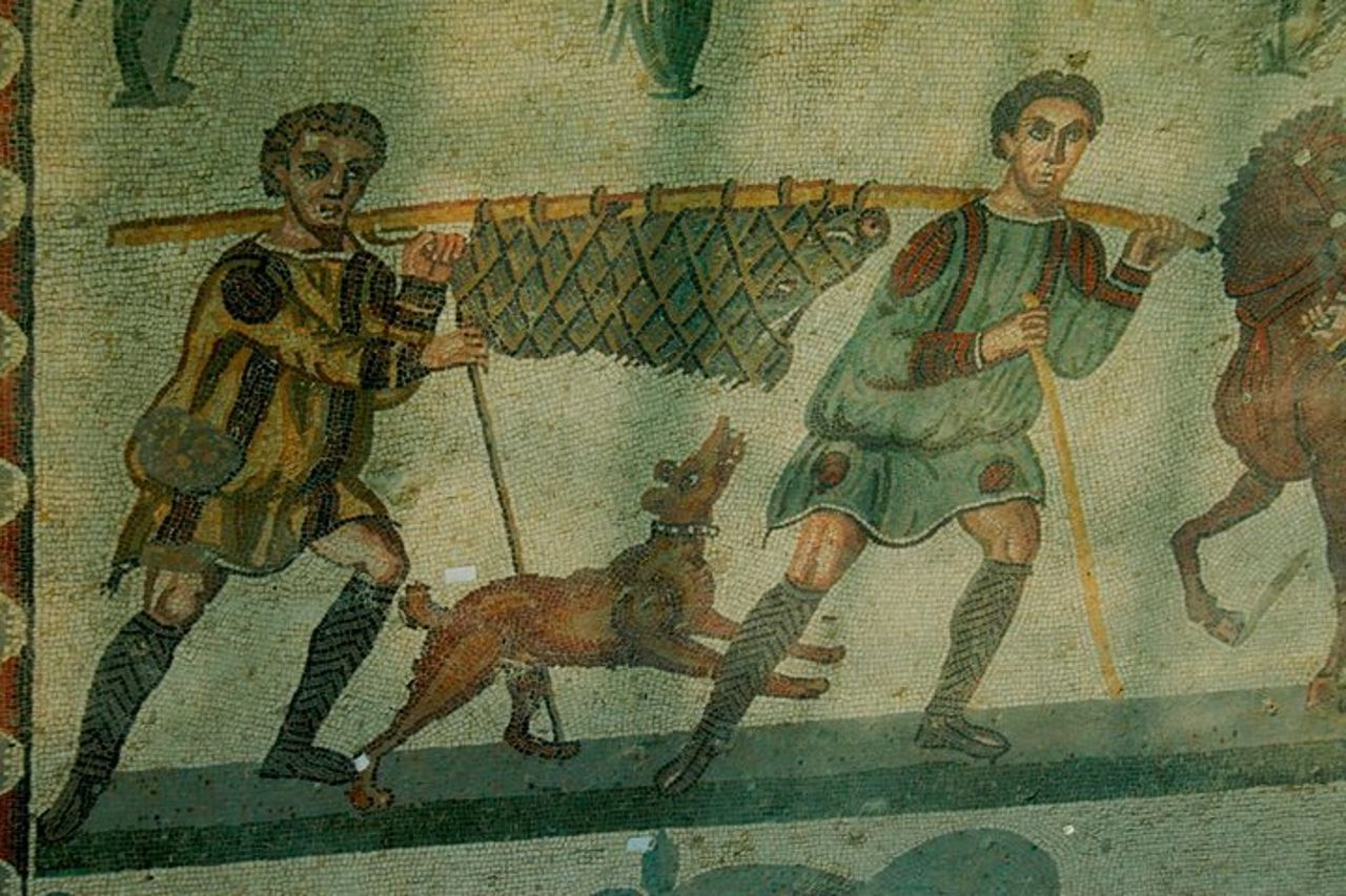 Villa Romana del Casale Mosaici Unesco Private Tour — 4