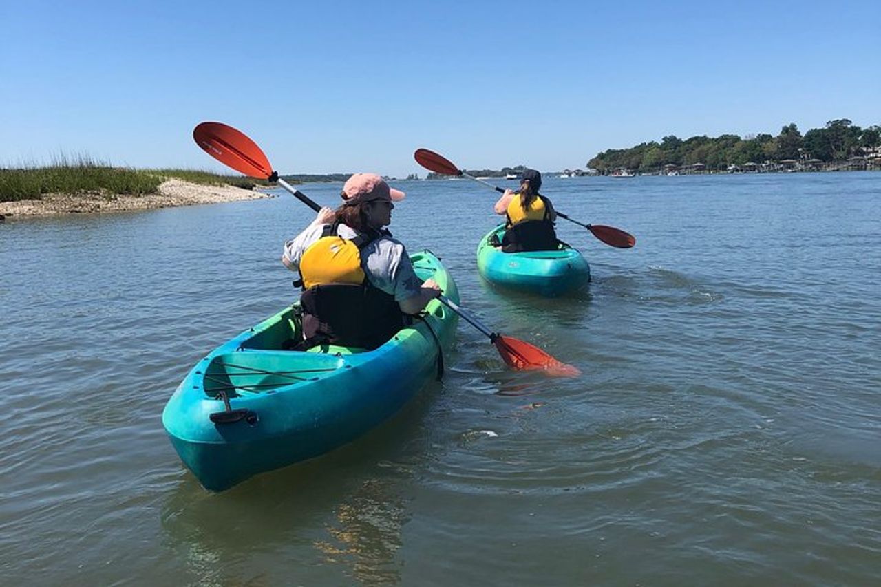 Tour ecologico guidato in kayak di Hilton Head — 6