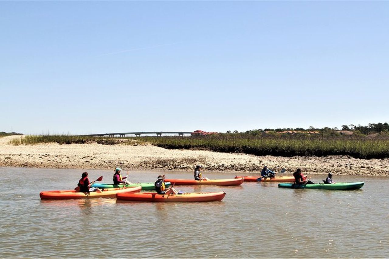 Tour ecologico guidato in kayak di Hilton Head — 3