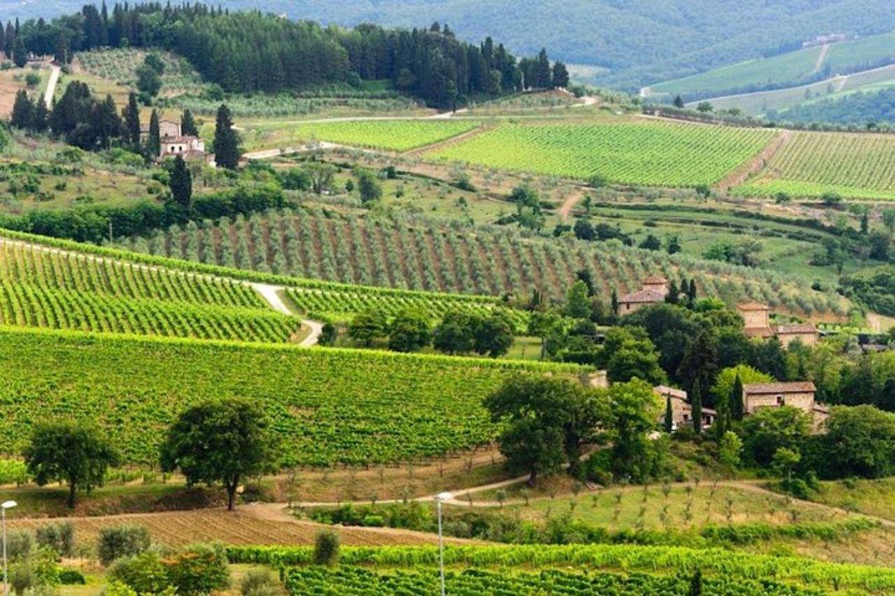 Due giorni di Toscana alla scoperta del Nobile, Brunello, Chianti — 4
