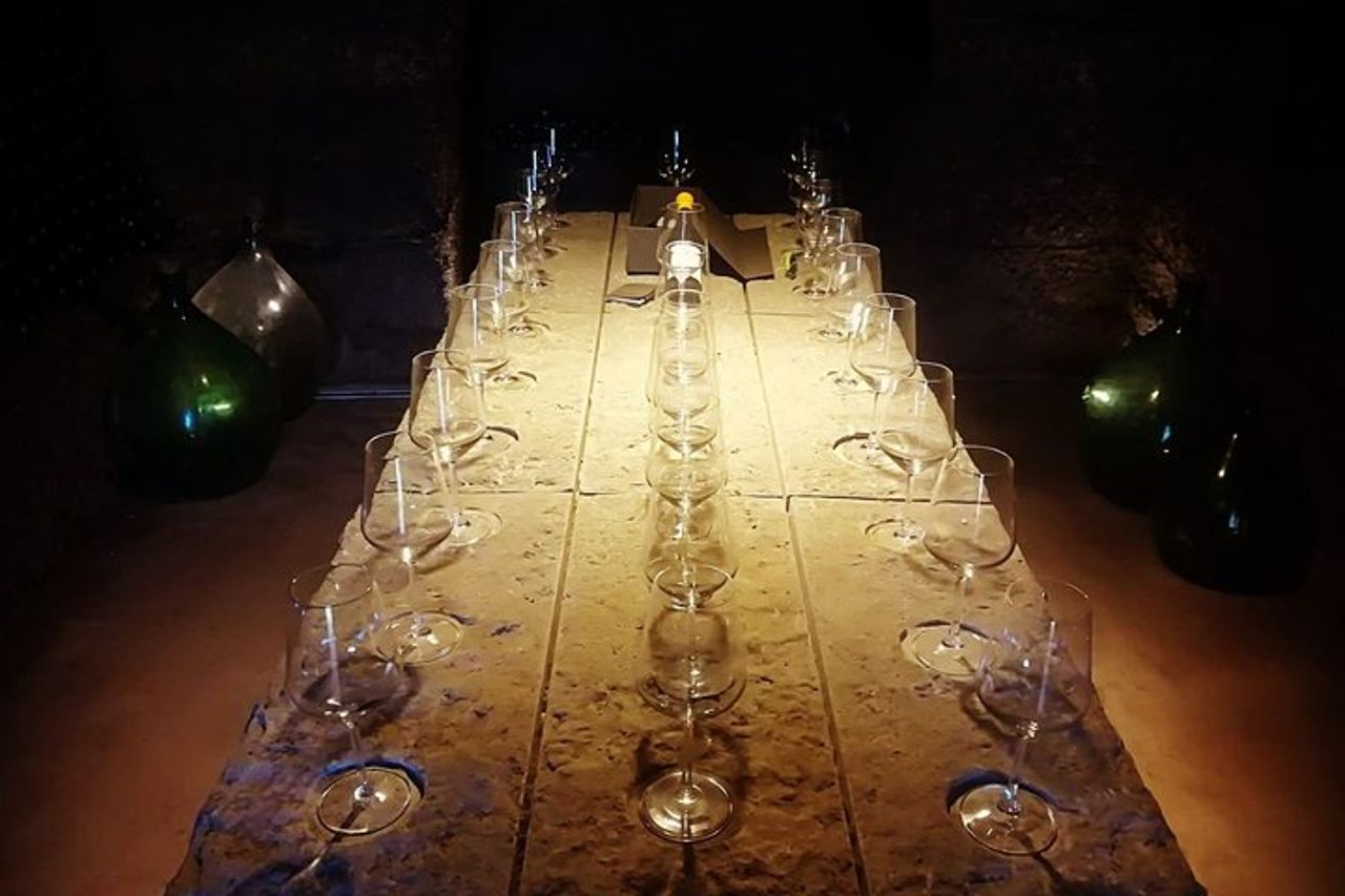 Unica EnoBike experience con degustazione in 2 eccellenti cantine — 2