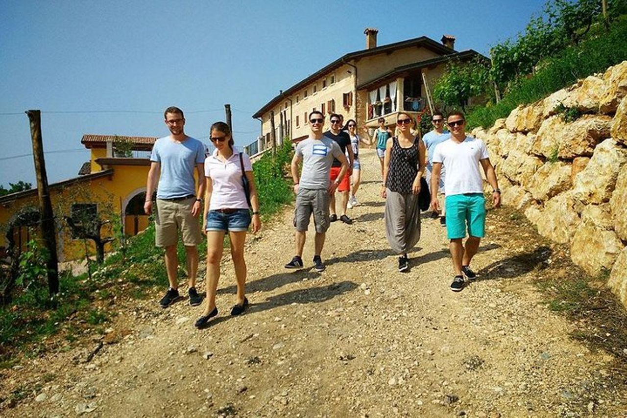 Da Verona: Valpolicella wine tour experience — 6