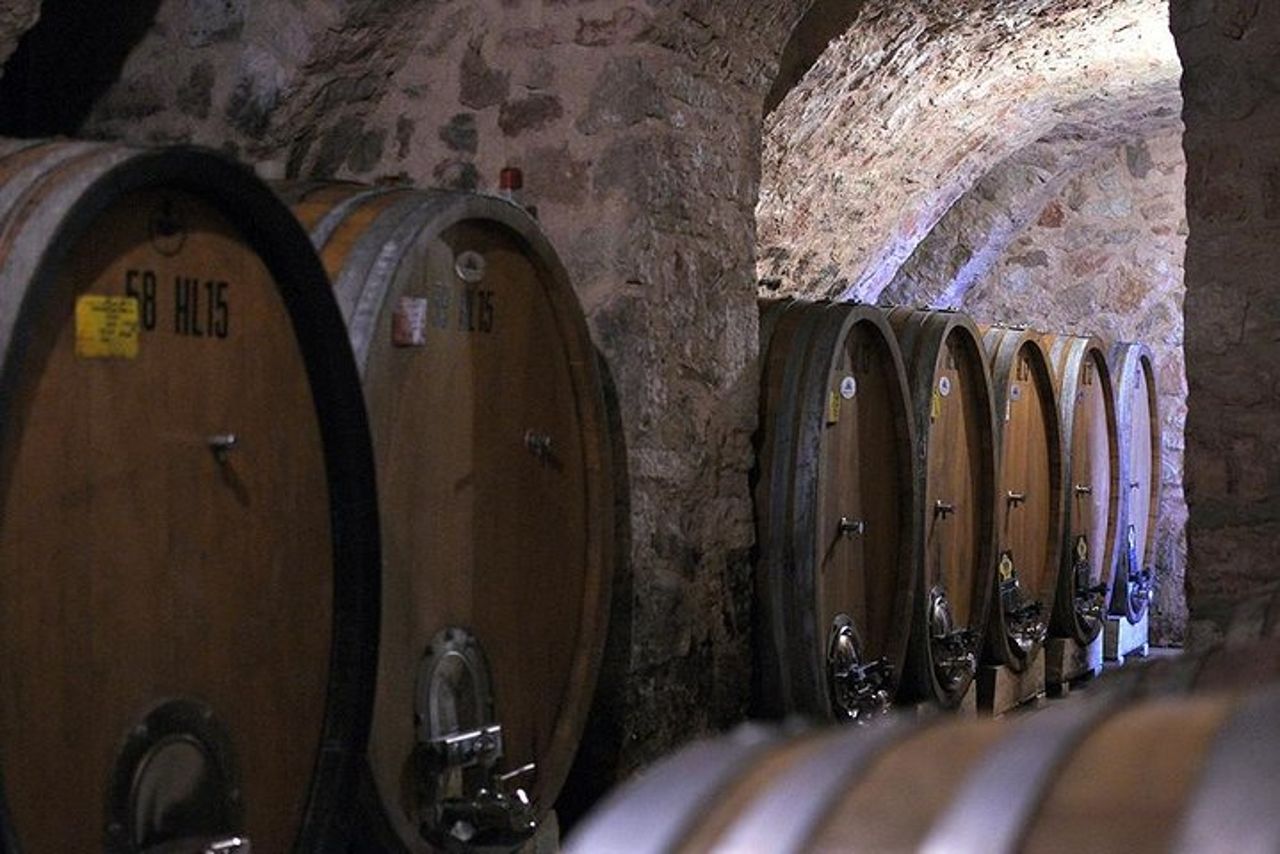 Da Verona: Valpolicella wine tour experience — 7