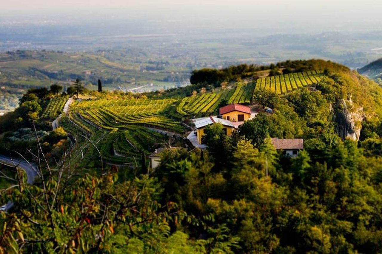 Da Verona: Valpolicella wine tour experience — 4