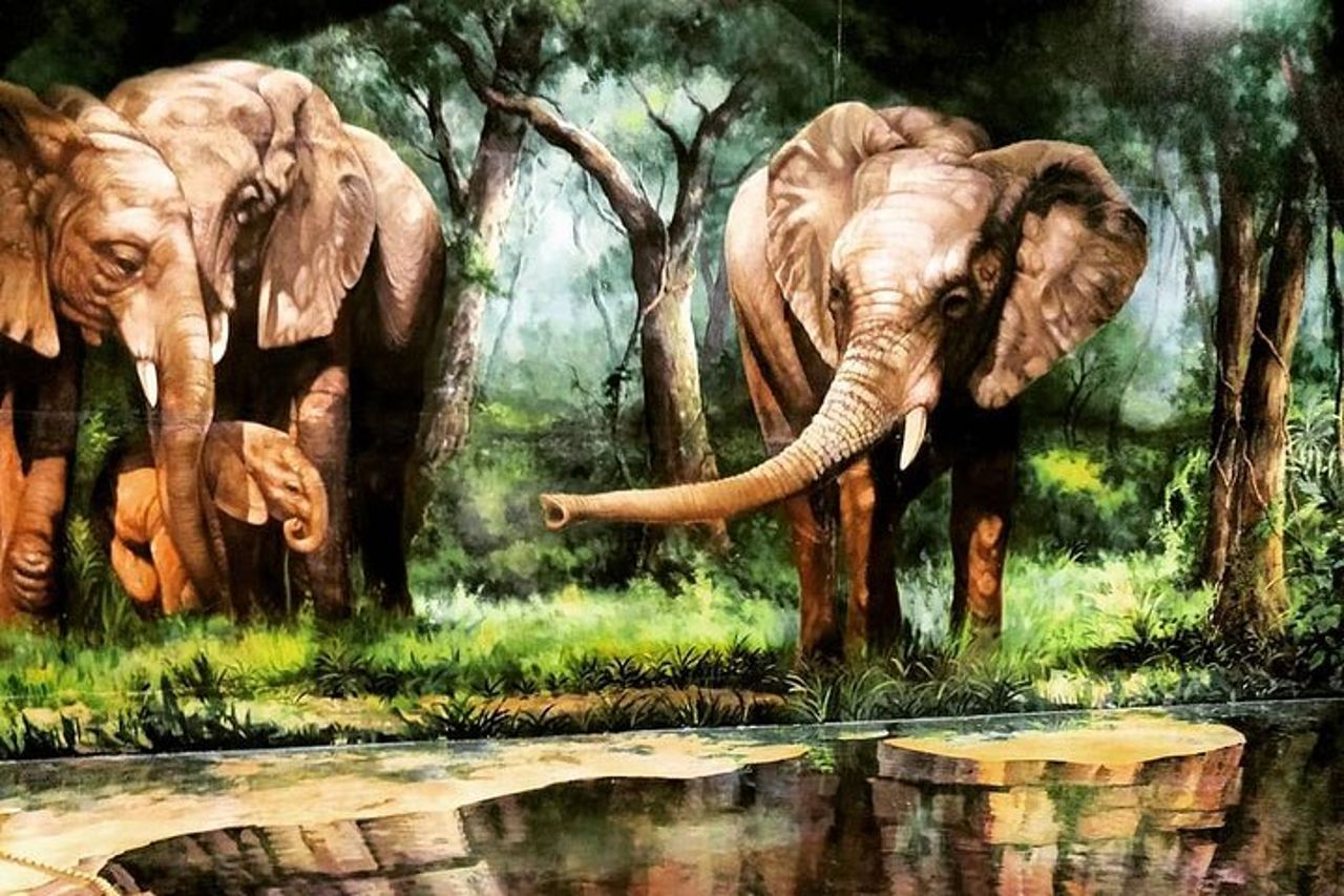 Biglietto d'ingresso Art in Paradise Pattaya — 6
