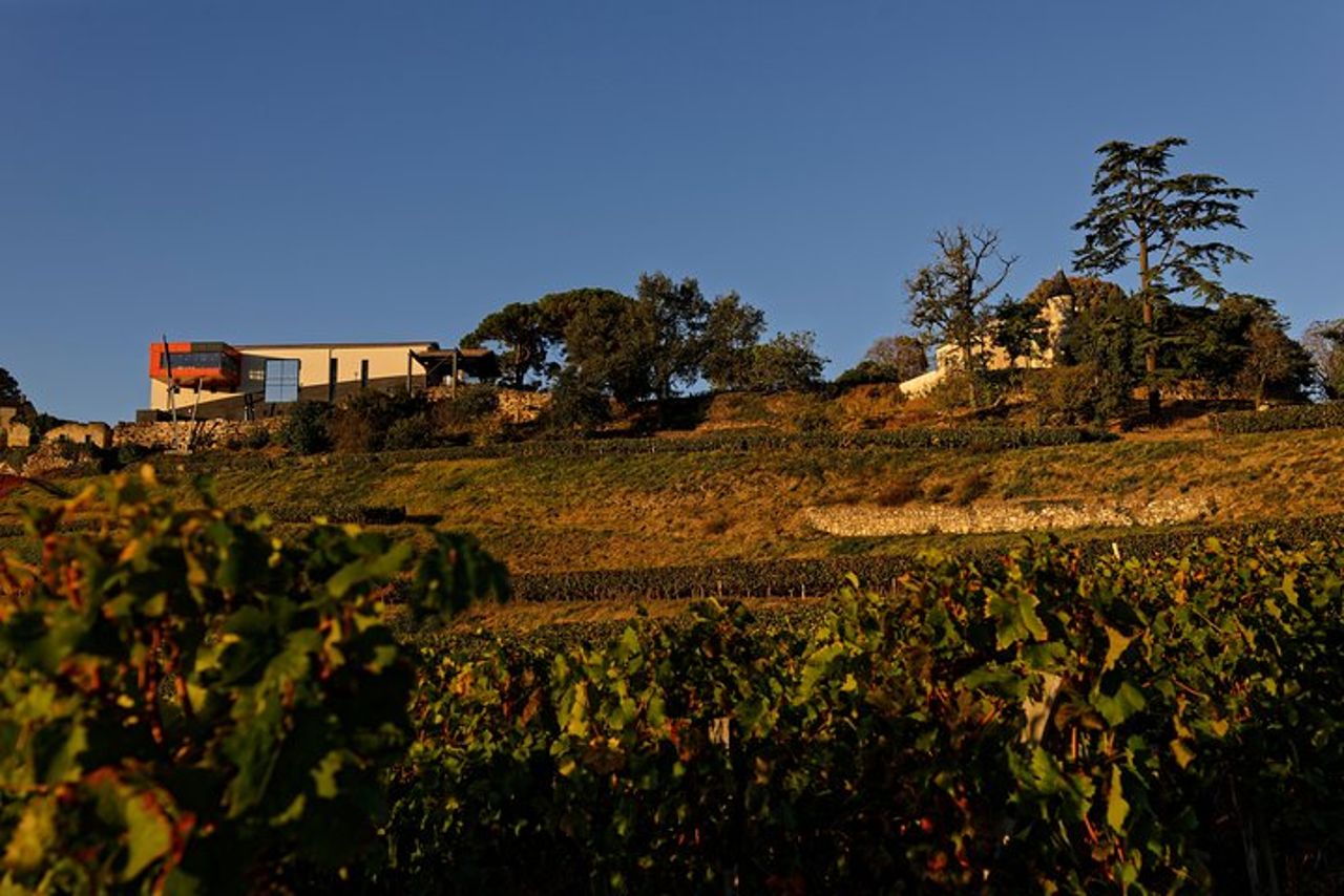 Saint-Emilion Grand Cru Classificato: Visite & Degustazione in Italiano — 7