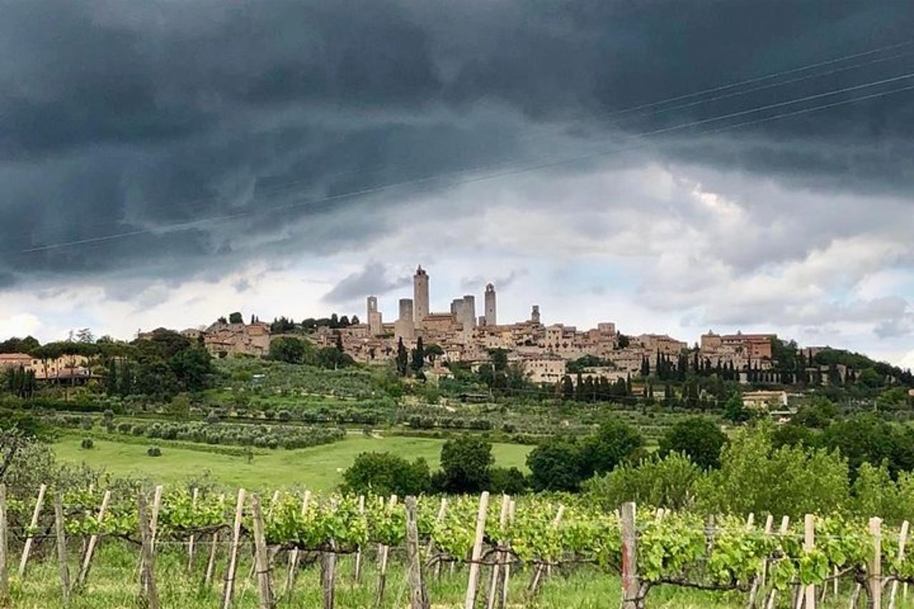 Tour privato di un giorno a Siena, San Gimignano e Chianti da Firenze — 8