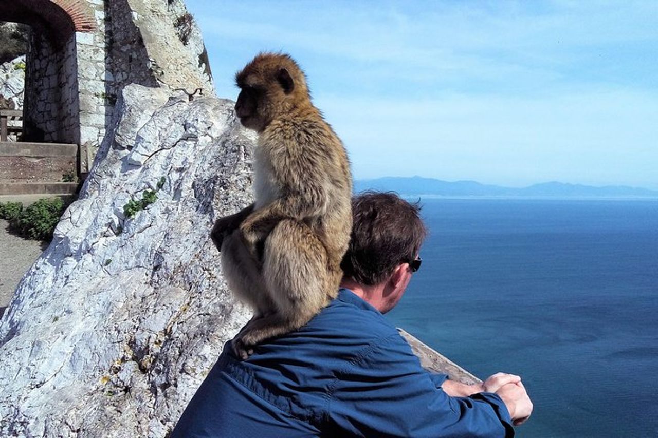 Viaggio privato a Gibilterra da Marbella o Malaga