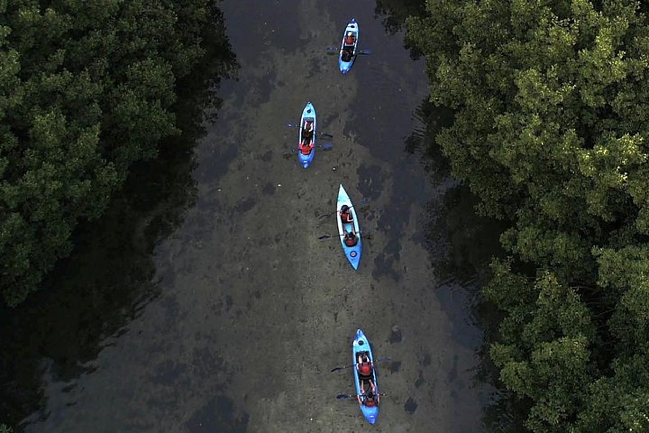 Bioluminescent Bay Kayak Adventure da San Juan — 6