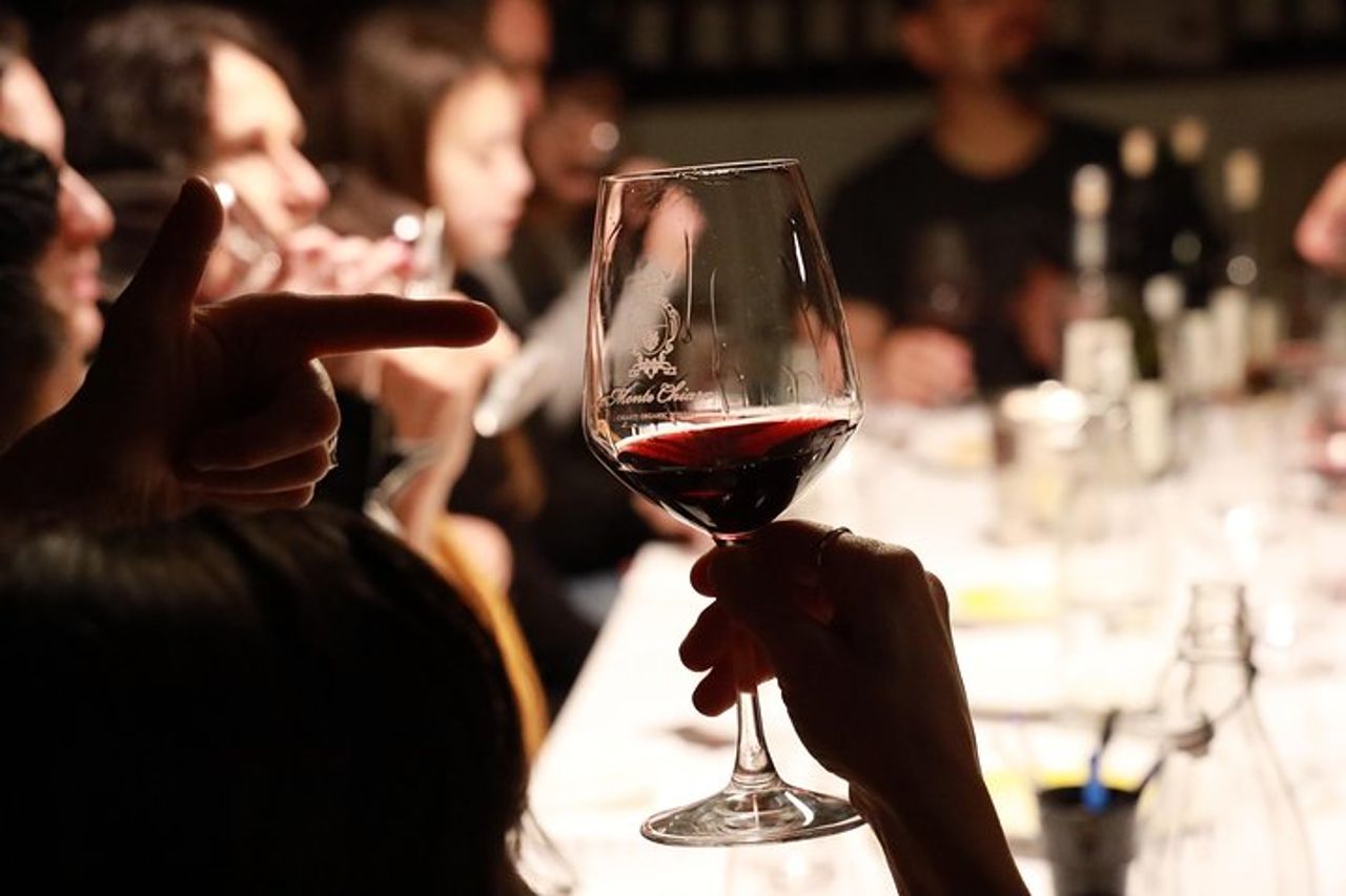 Wine Tour & Degustazione - Chianti & Supertuscan Bio — 3