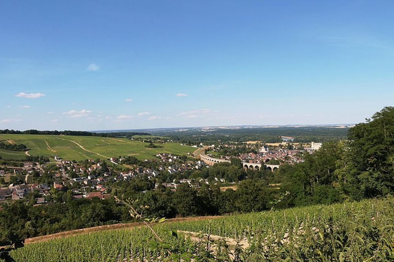 Sancerre & Pouilly-Fumé Wine Tour Degustazione di formaggi di capra — 9
