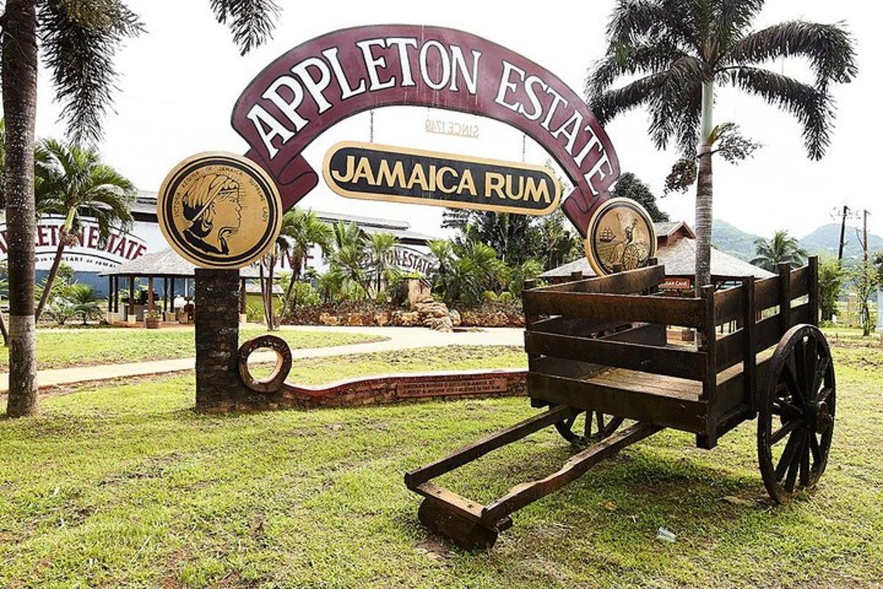 Appleton e Y.S Falls Tour dagli hotel di Negril