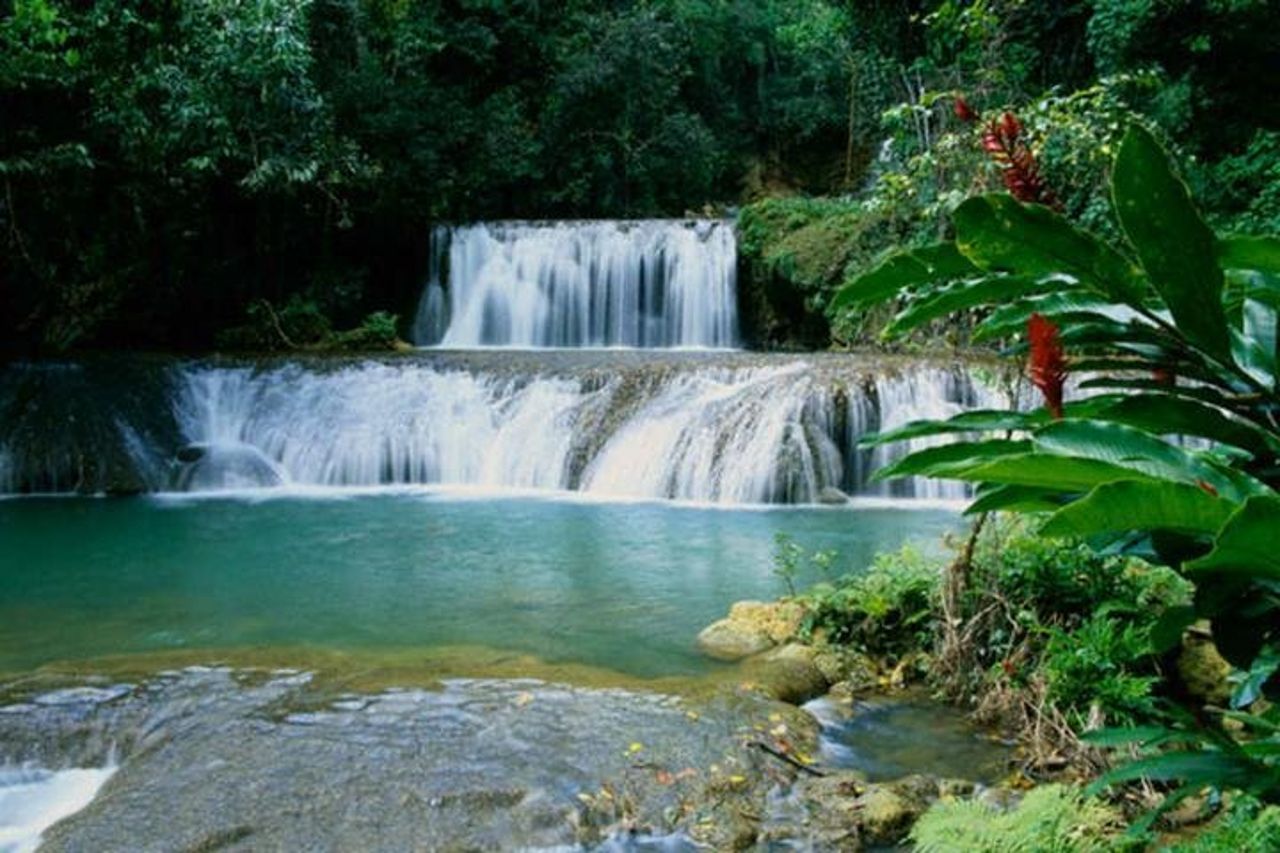 Appleton e Y.S Falls Tour dagli hotel di Negril — 2