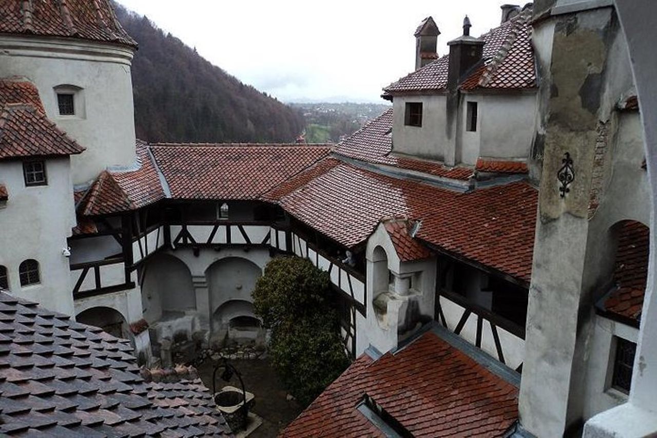 Gita di un giorno a Bear Sanctuary, Castello di Dracula, Fortezza di Rasnov da Brasov — 4