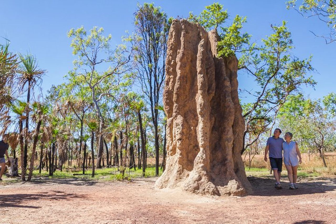 Tour di un giorno al Parco Nazionale di Litchfield da Darwin con pranzo — 9