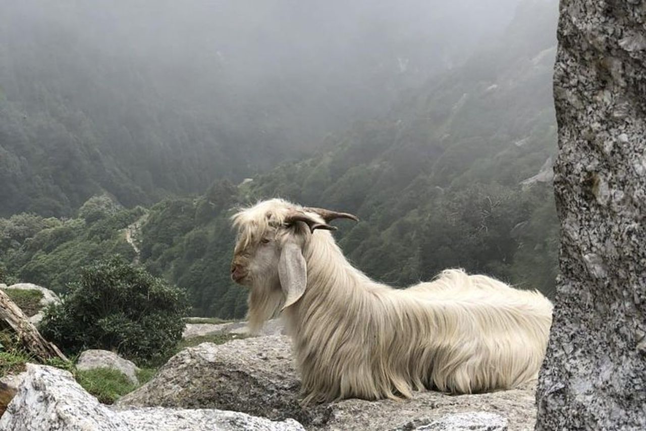 Trekking — 3