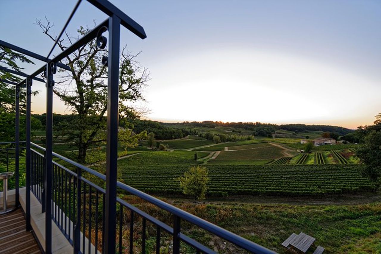 Saint-Emilion Grand Cru Classé: Picnic & visita in inglese — 5