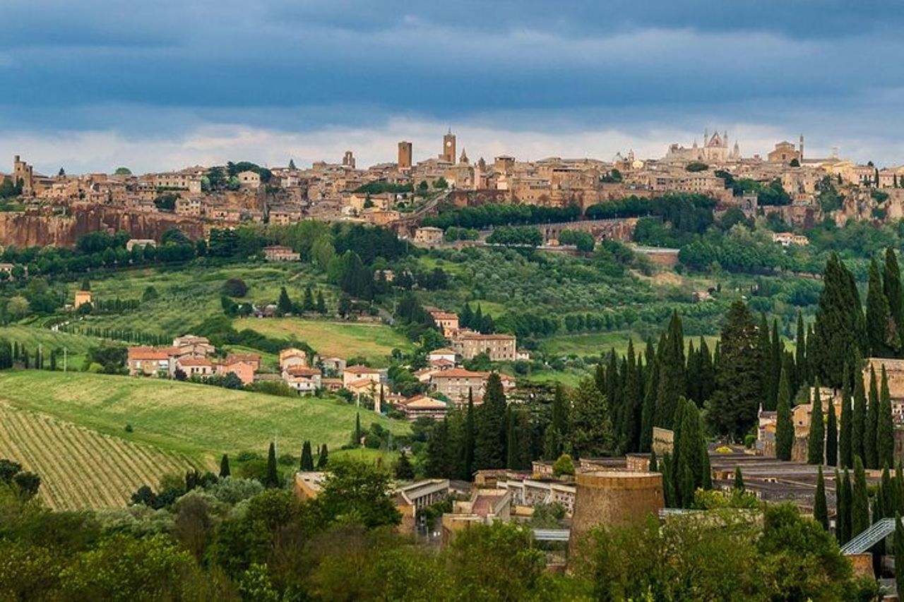Gita di un giorno: tour privato di Orvieto e Civita Di Bagnoregio + tour del vino con pranzo — 4
