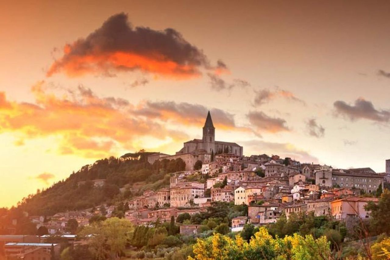 Gita di un giorno: tour privato di Todi e Montefalco + pranzo + tour del vino con degustazione — 4