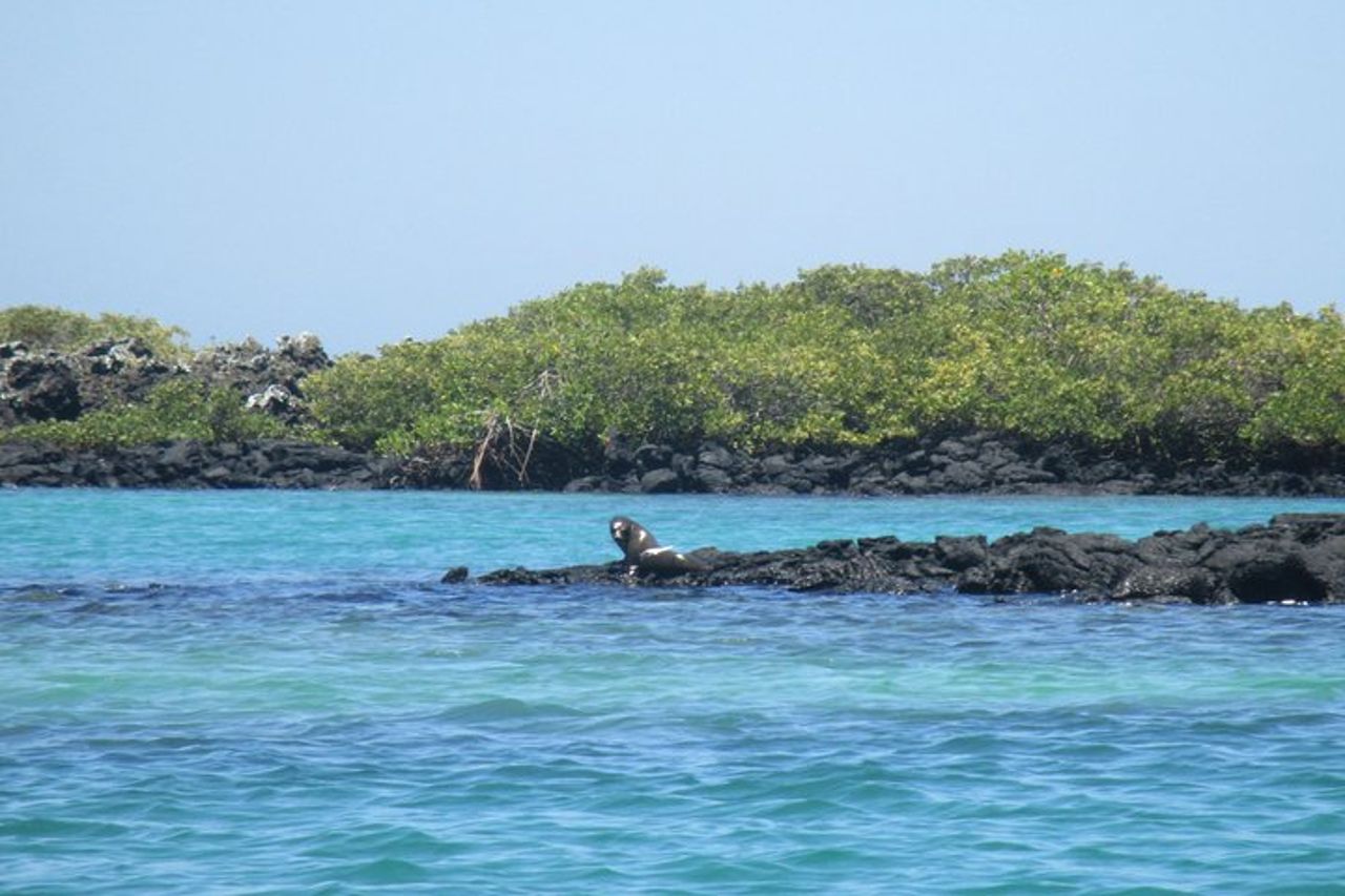 Godetevi il meglio di Quito e Galapagos (3 isole) 8 giorni di viaggio — 6