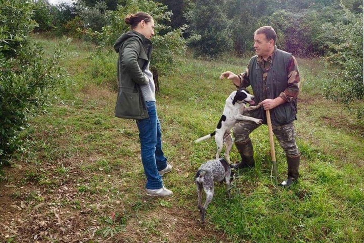 Gita di un giorno: caccia al tartufo con pranzo + visita guidata di Montefalco — 9