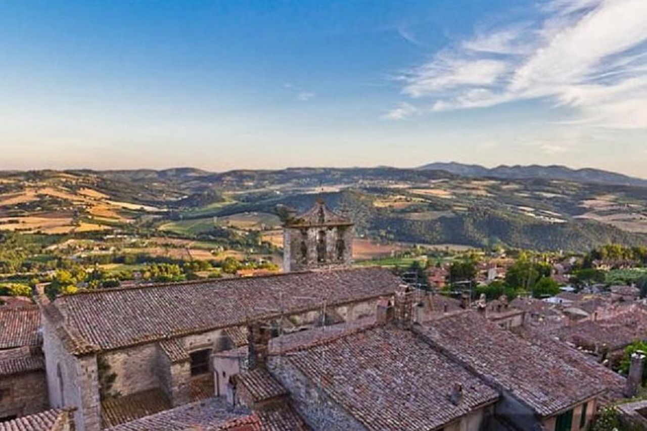 Giro in carrozza tra i vigneti - pranzo - Tour di Montefalco