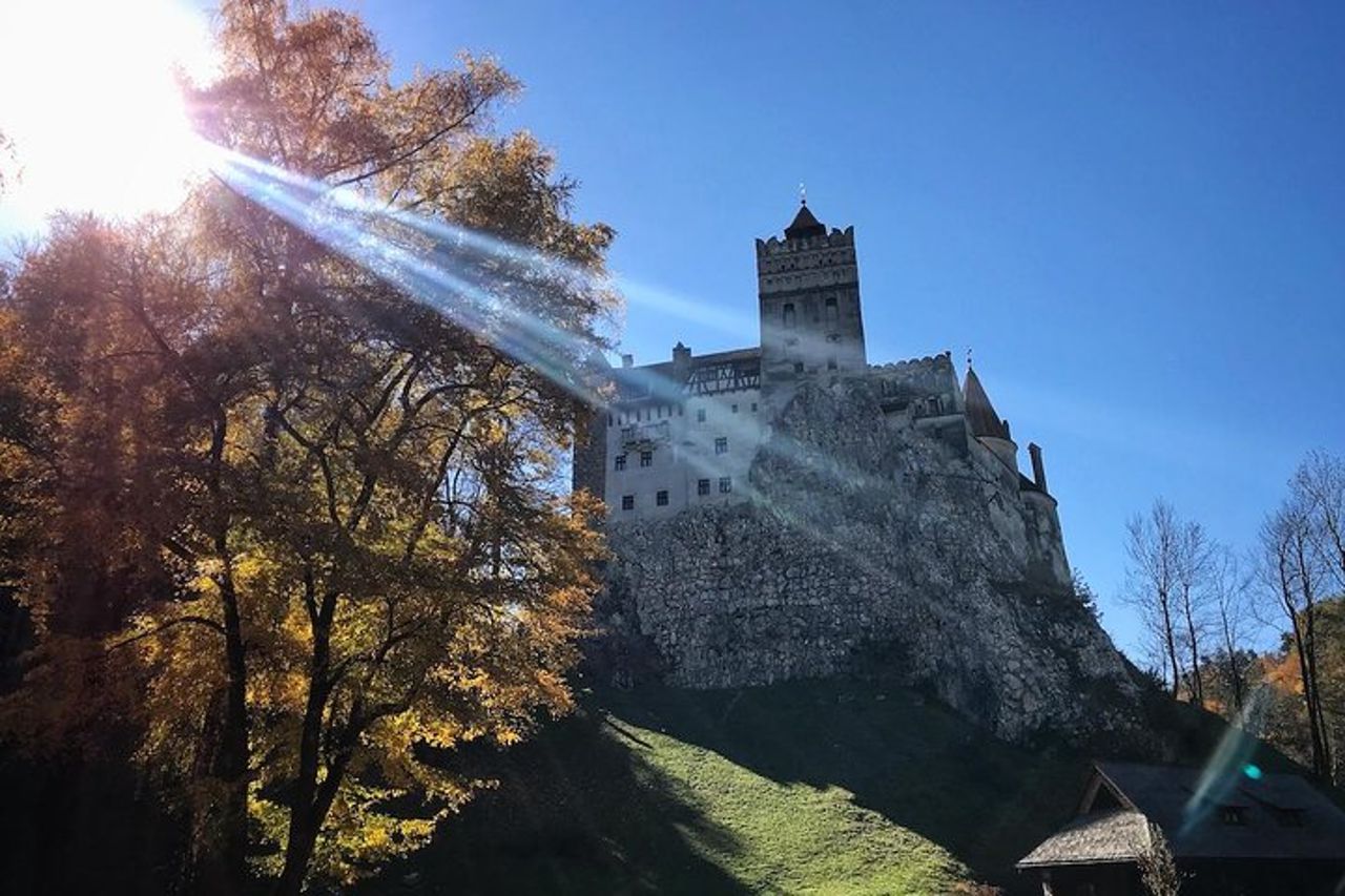 Gita di un giorno a Bear Sanctuary, Castello di Dracula, Fortezza di Rasnov da Brasov — 7