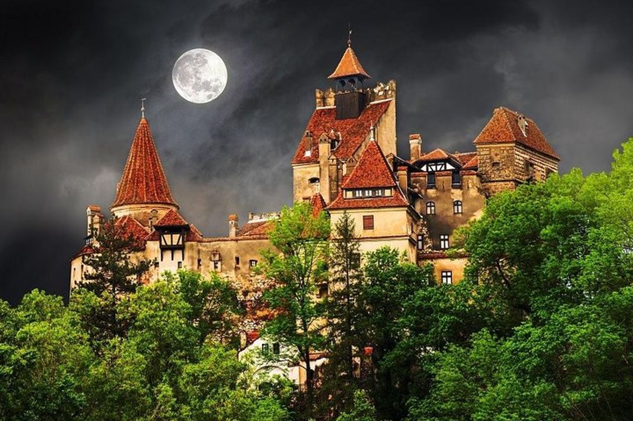 Gita di un giorno a Bear Sanctuary, Castello di Dracula, Fortezza di Rasnov da Brasov — 3