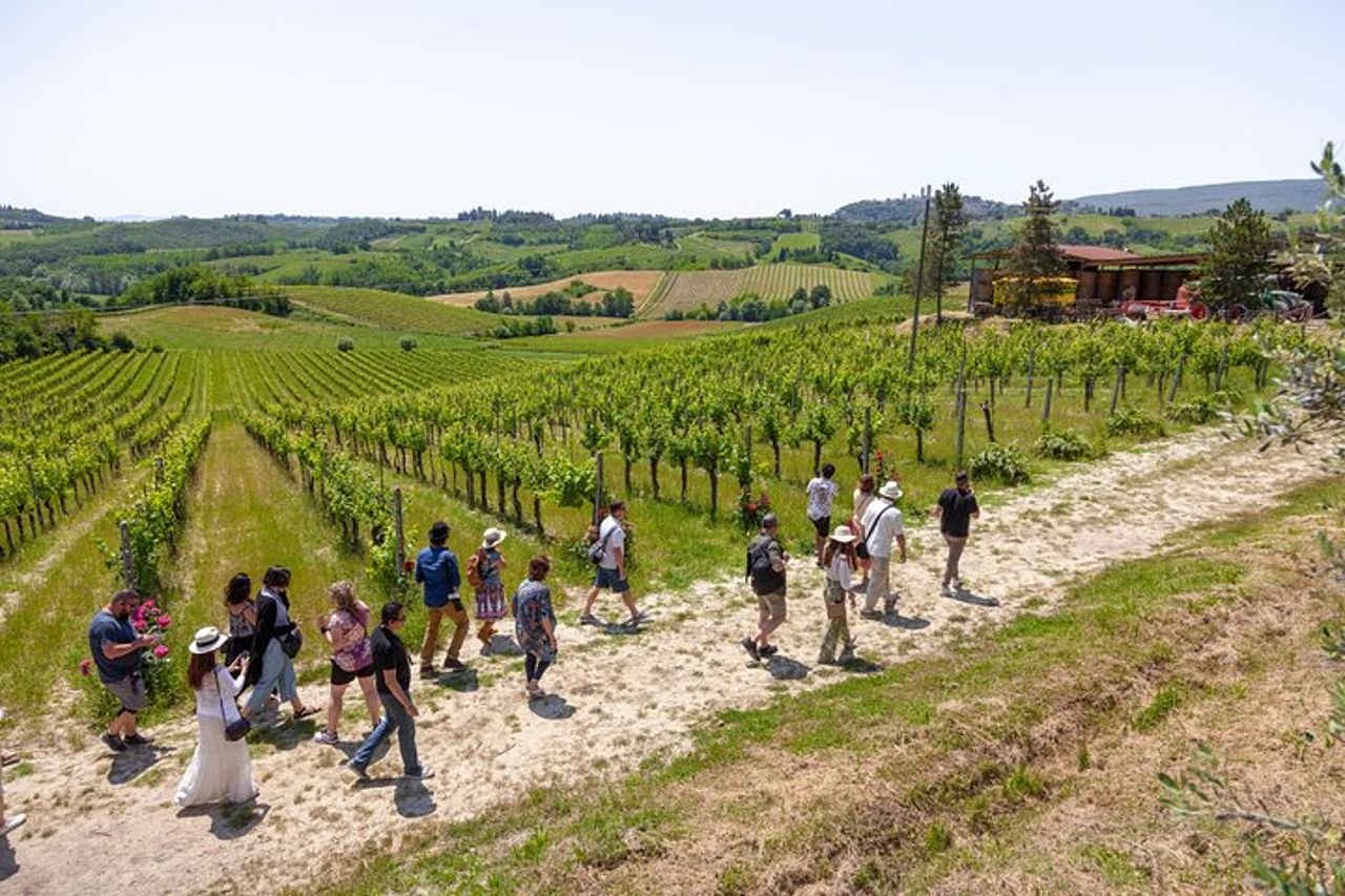 Escursione in Toscana da Firenze: Siena, San Gimignano, Pisa e pranzo in cantina — 2
