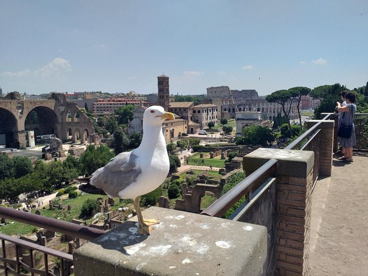 Foro Romano e Fori Imperiali - viaggio nel cuore della Antica Roma — 7