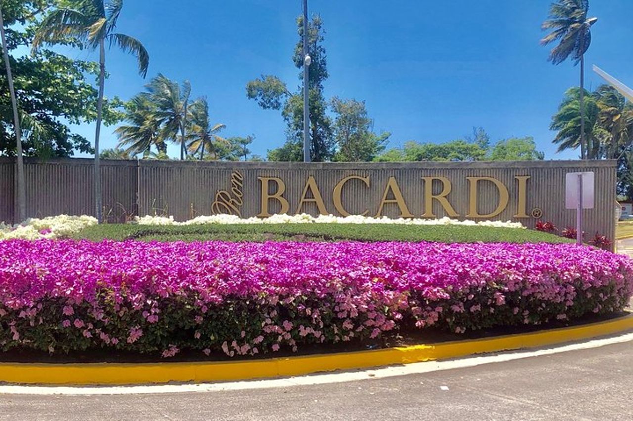 Bacardi Rum Distillery e Old San Juan Tour — 3