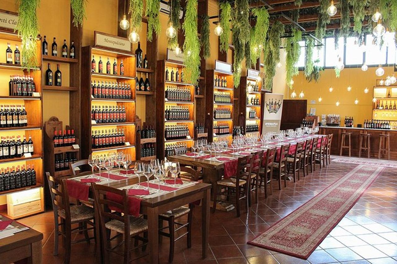 Degustazione di vini e pranzo toscano - Cibo e bevande inclusi — 8