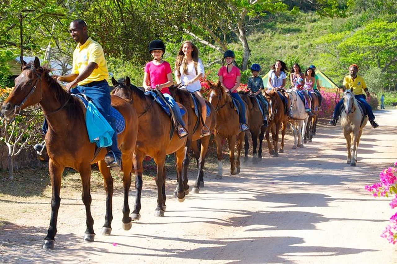 Horseback Ride n Swim e Green Grotto Adventure Tour da Falmouth — 3