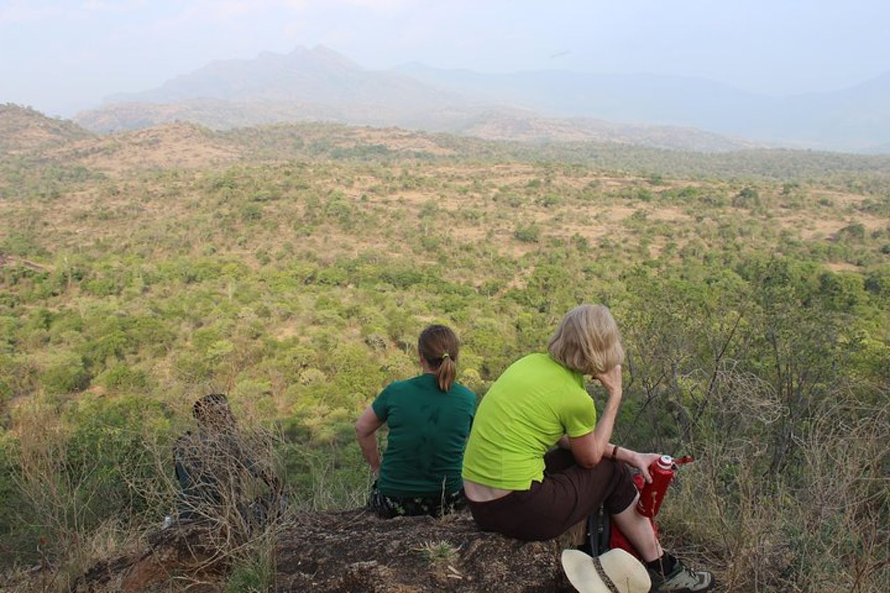 Chinnar tour di un giorno nella valle selvaggia (di Munnar Info) — 3